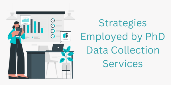 Strategies Employed by PhD Data Collection Services